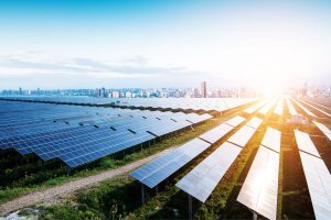 Obton image 3 Sun cell farm 2 Photographer not needed