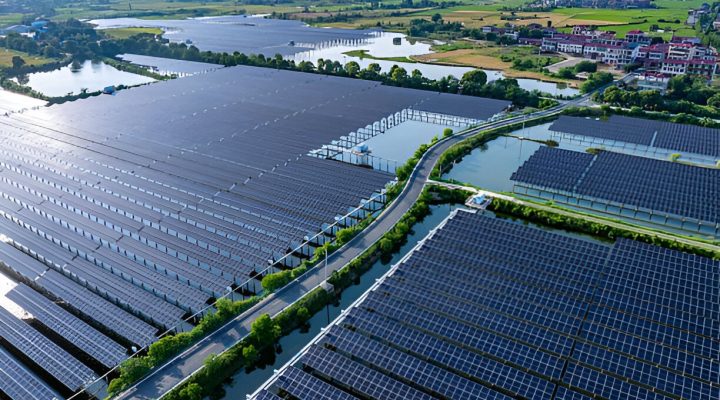 steptodown.com273014-1